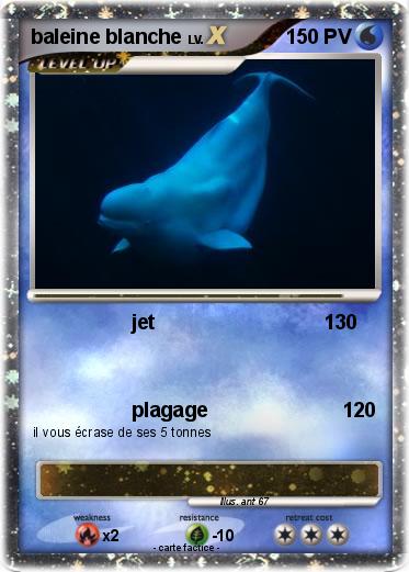 Pokemon baleine blanche