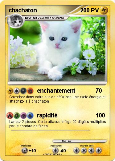 Pokemon chachaton