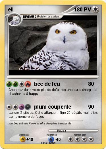 Pokemon eli