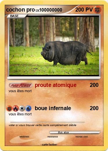 Pokemon cochon pro