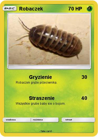 Pokemon Robaczek