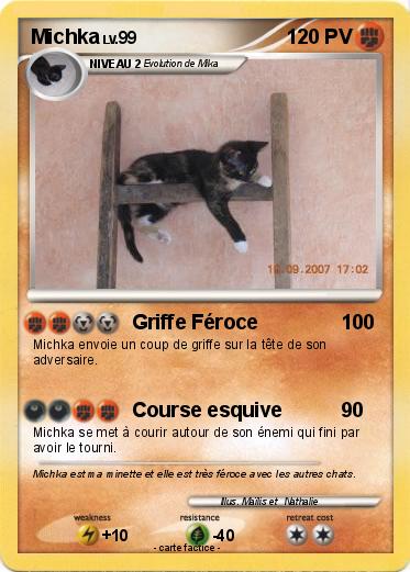 Pokemon Michka