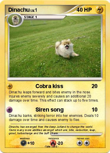 Pokemon Dinachu
