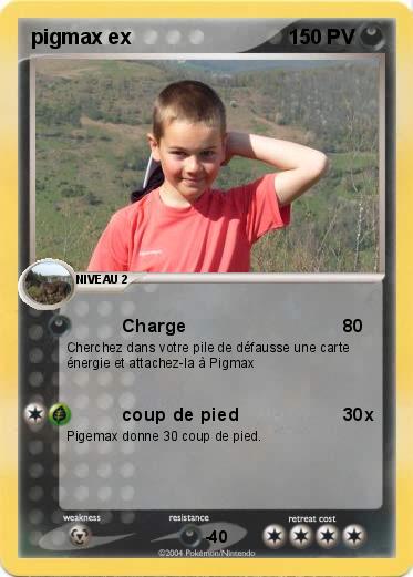 Pokemon pigmax ex