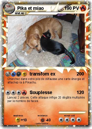 Pokemon Pika et miao