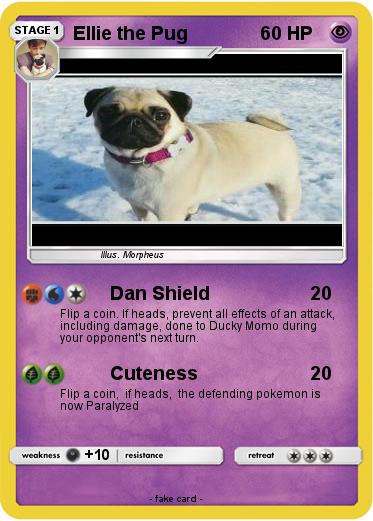 Pokemon Ellie the Pug