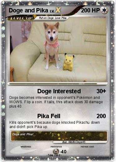 Pokemon Doge and Pika