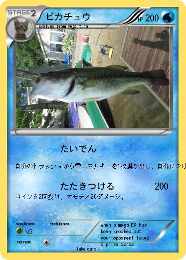 Pokemon ピカチュウ