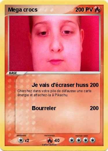 Pokemon Mega crocs