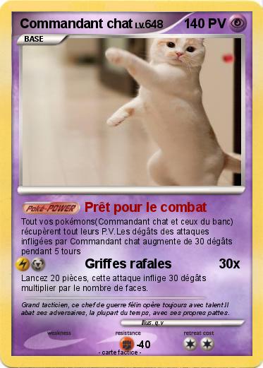 Pokemon Commandant chat