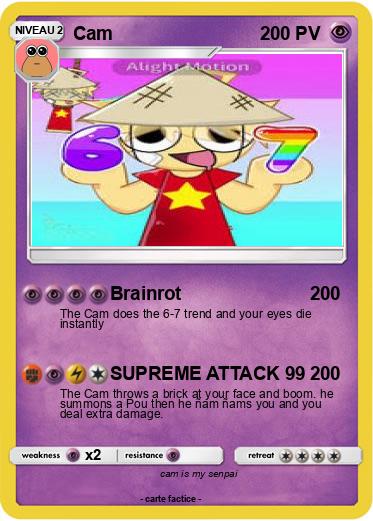 Pokemon Cam