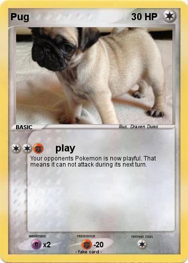 Pokemon Pug