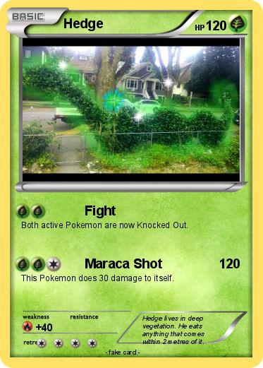 Pokemon Hedge