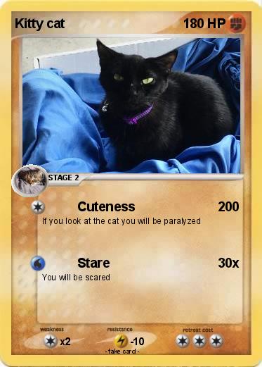 Pokemon Kitty cat
