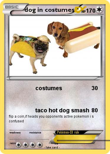 Pokemon dog in costumes