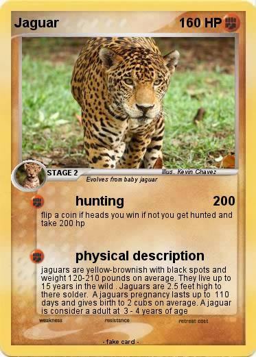 Pokemon Jaguar
