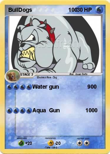 Pokemon BullDogs                        100