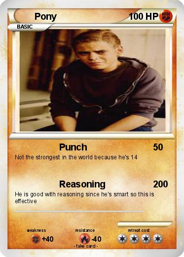 Pokemon Pony