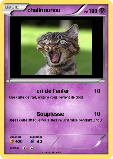 Pokemon chatinounou