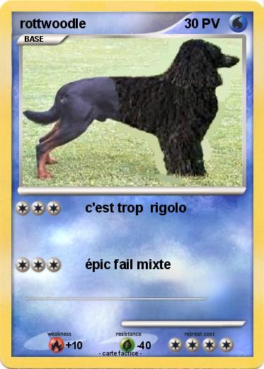 Pokemon rottwoodle