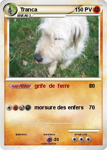 Pokemon Tranca