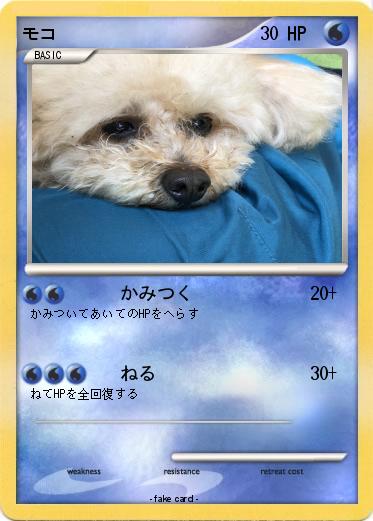 Pokemon モコ