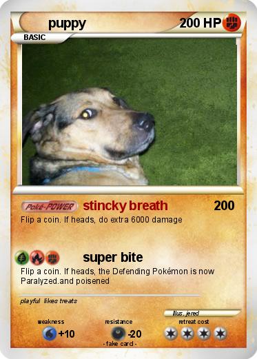 Pokemon puppy