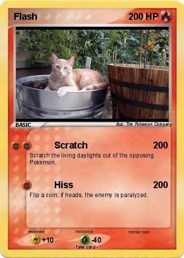 Pokemon Flash