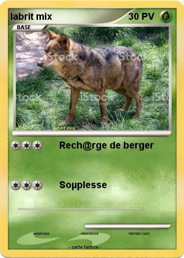 Pokemon labrit mix