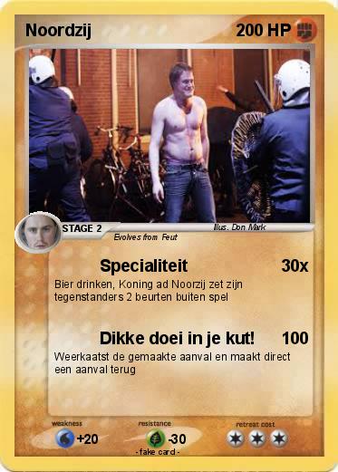 Pokemon Noordzij