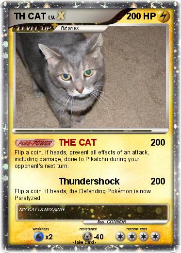 Pokemon TH CAT