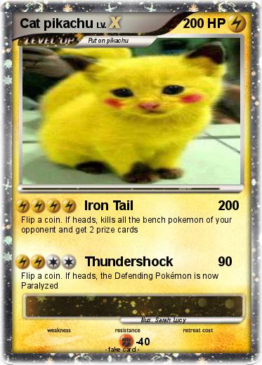 Pokemon Cat pikachu