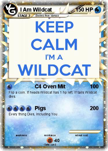 Pokemon I Am Wildcat