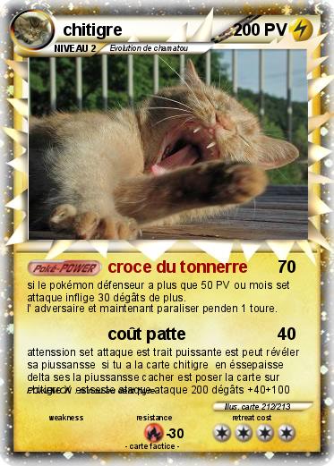 Pokemon chitigre
