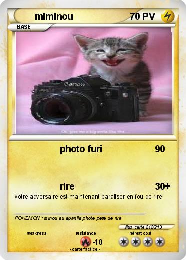 Pokemon miminou