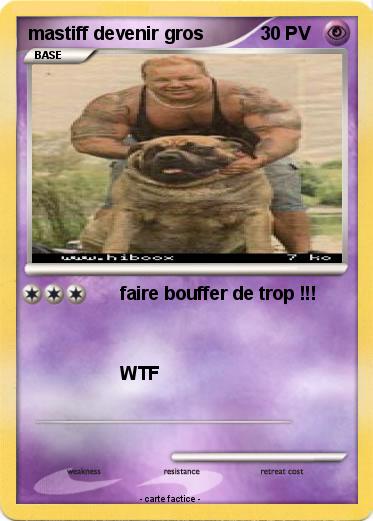 Pokemon mastiff devenir gros