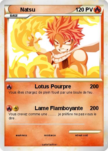 Pokemon Natsu