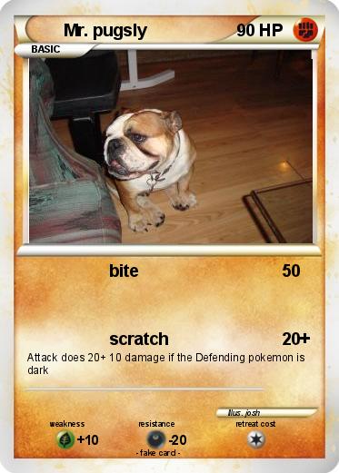 Pokemon Mr. pugsly