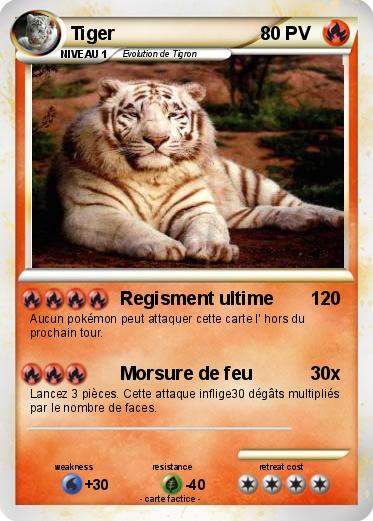 Pokemon Tiger