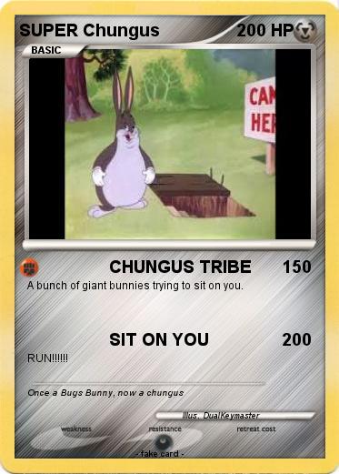Pokemon SUPER Chungus