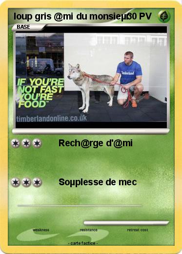 Pokemon loup gris @mi du monsieµr