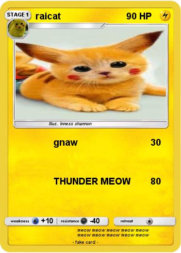 Pokemon raicat