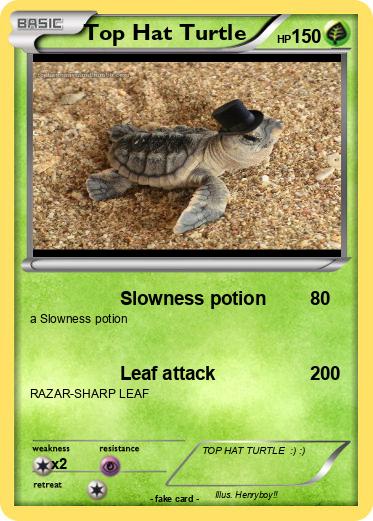 Pokemon Top Hat Turtle