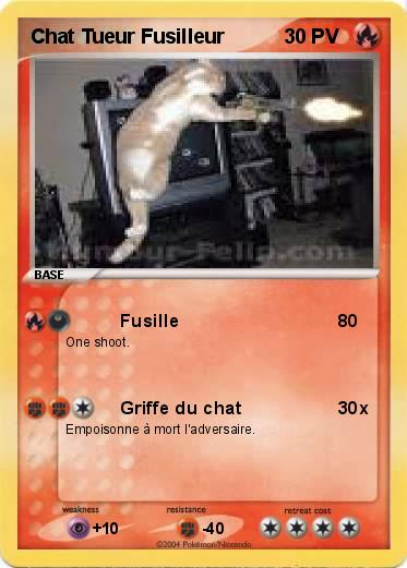 Pokemon Chat Tueur Fusilleur