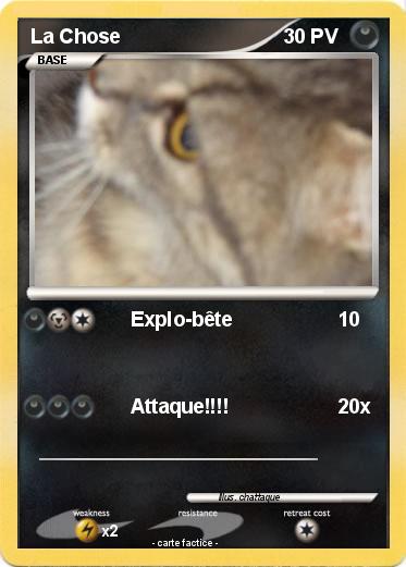 Pokemon La Chose