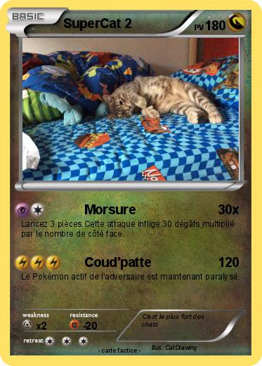 Pokemon SuperCat 2