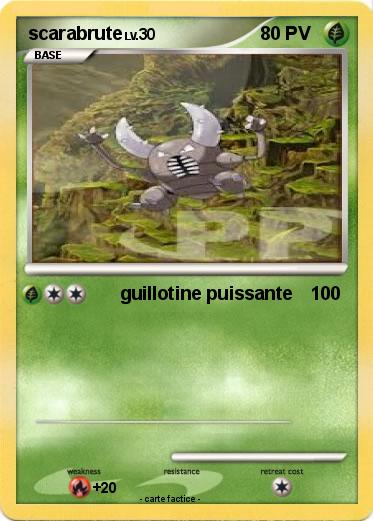 Pokemon scarabrute