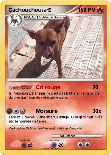 Pokemon Cachouchou
