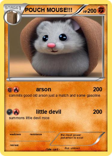 Pokemon POUCH MOUSE!!!