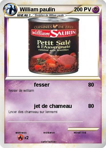 Pokemon William paulin